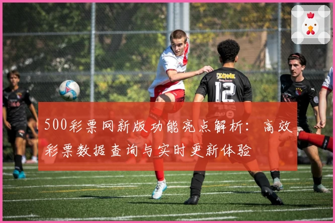 500彩票网新版功能亮点解析：高效彩票数据查询与实时更新体验